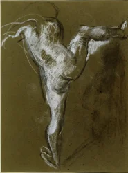 Fille nue avec la jambe droite levée